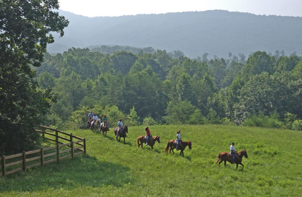 Young Harris Brasstown Valley Resort & Spa מראה חיצוני תמונה